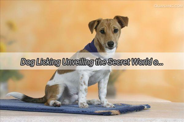 Dog Licking Unveiling the Secret World of Canine Taste Buds